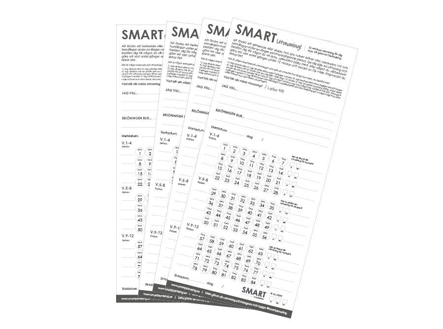 12 v utmaning som 4-pack